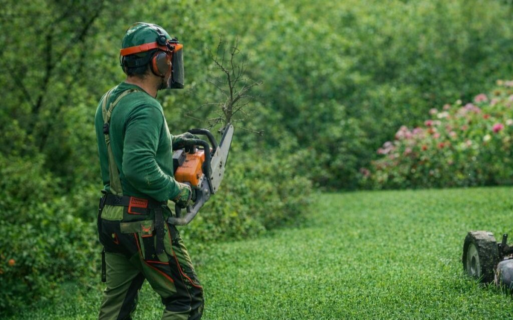 Servicios de jardinería