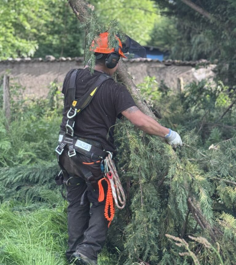 jardinería
