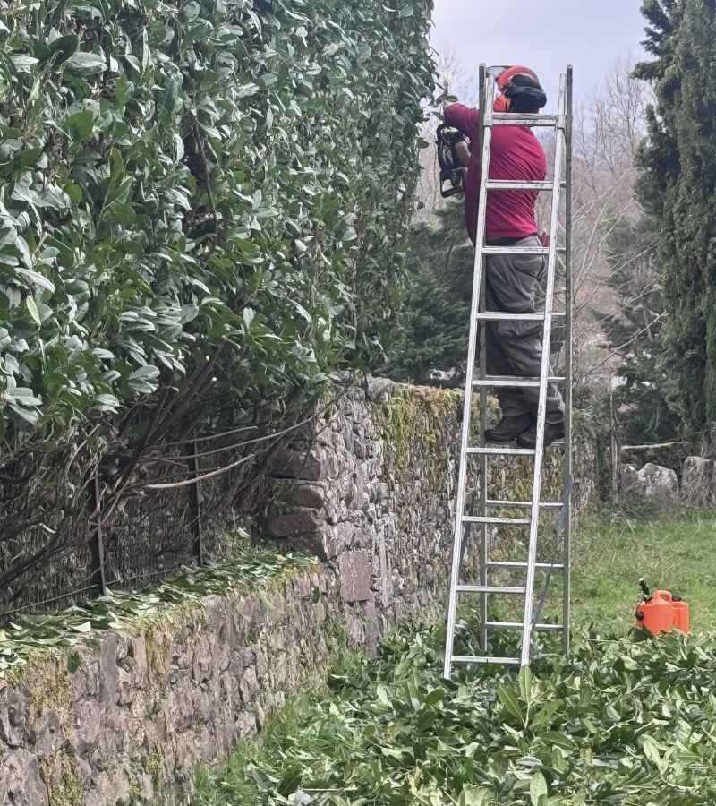 armijos jardineria - Empresa de Jardinería en Navarra y Gipuzkoa (16)