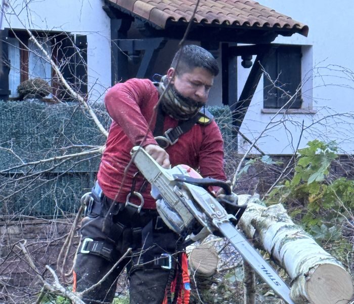 armijos jardineria - Empresa de Jardinería en Navarra y Gipuzkoa (3)
