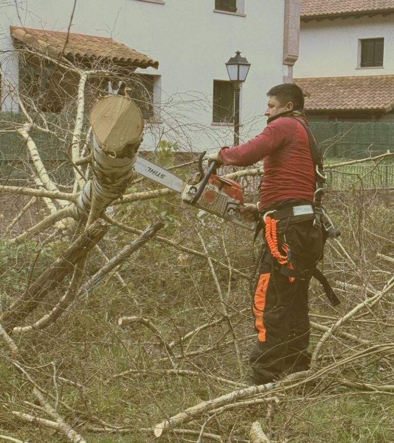 Maquinaria profesional