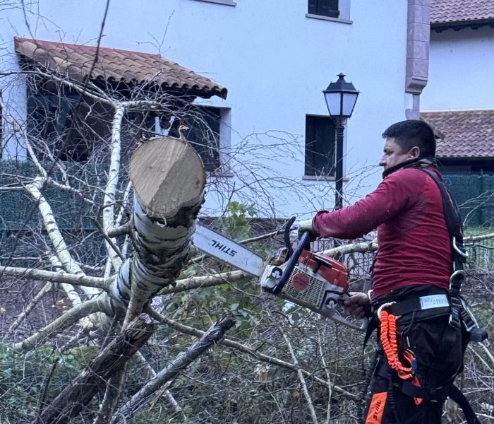armijos jardineria - Empresa de Jardinería en Navarra y Gipuzkoa (5)